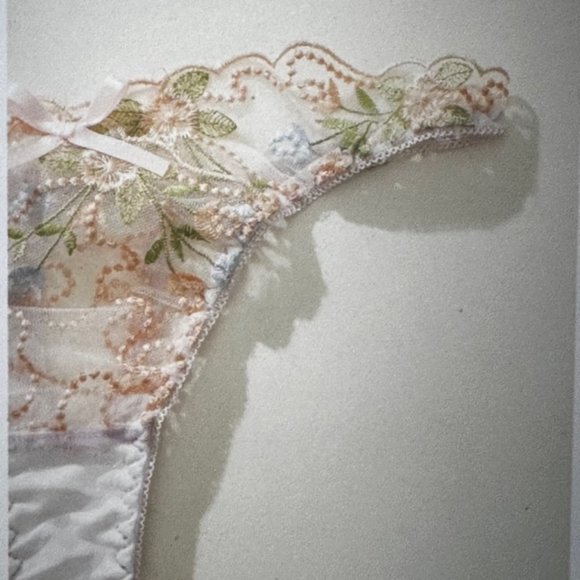 Brand New Embroidery Mesh Panty Various - Picture 4 of 5